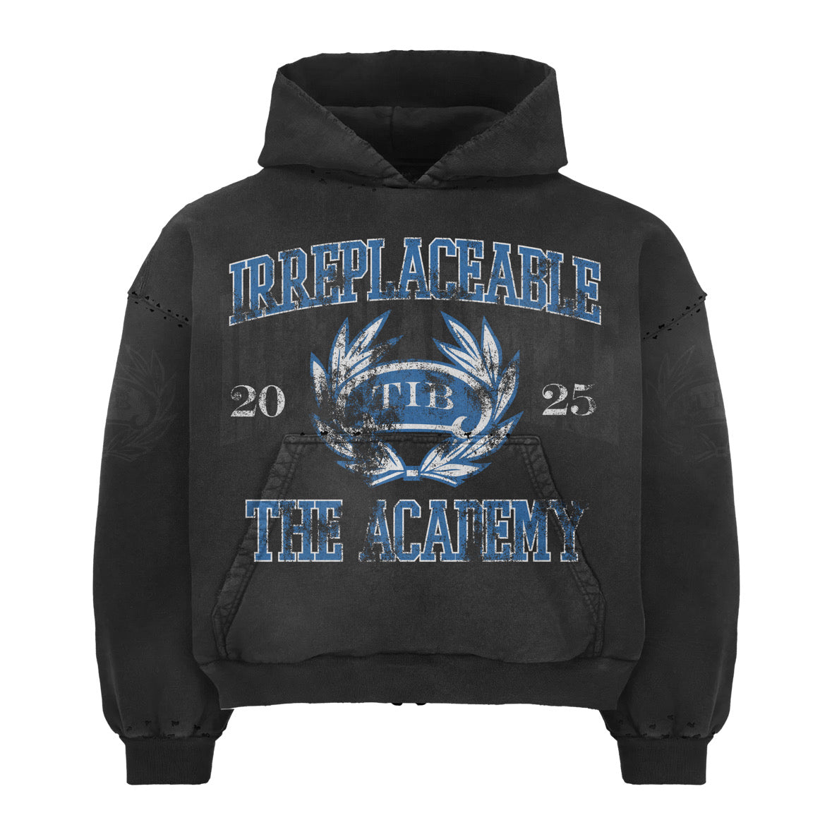 BLUE ACADEMY HOODIE